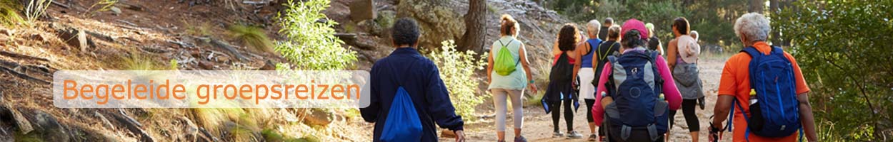 Groepsreizen